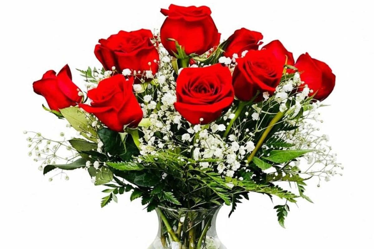 DOZEN RED ROSES IN A VASE
