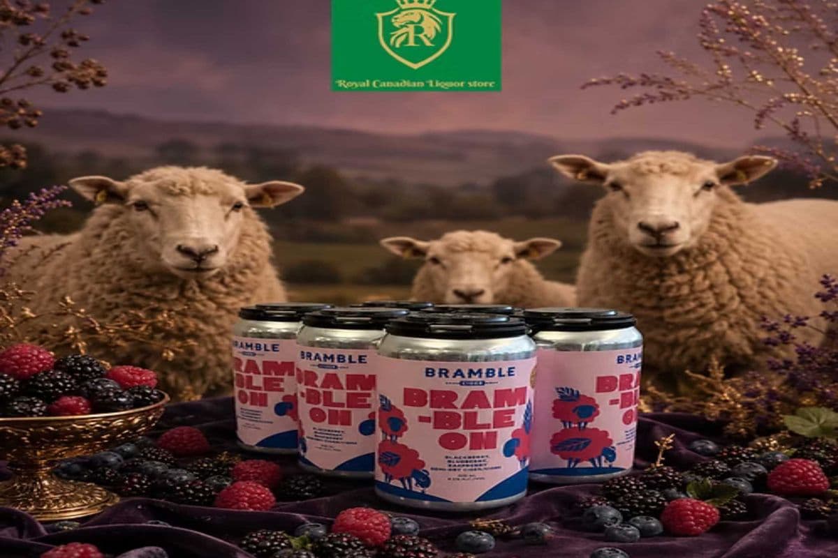 BRAMBLE ON CIDER (6 x 355ML)