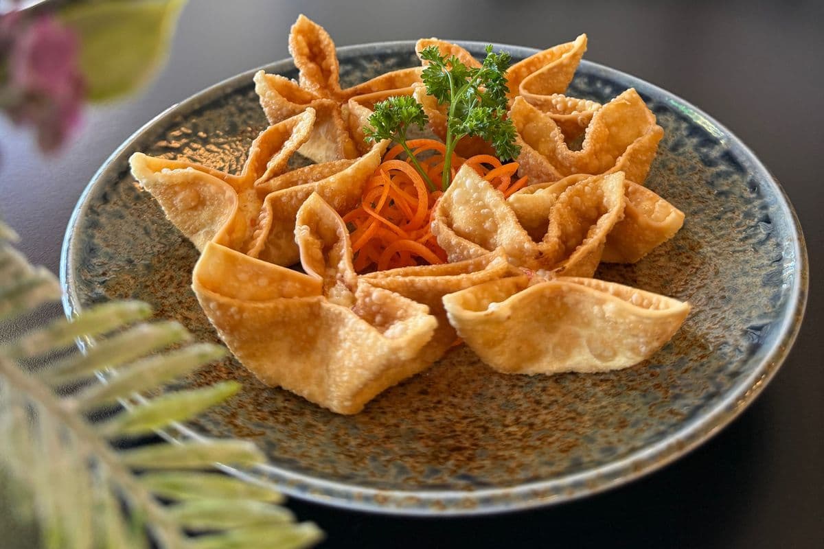 Crispy Cheese Wonton