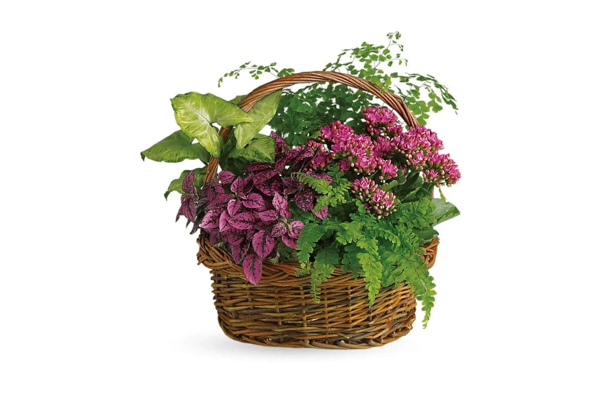 Secret Garden Basket