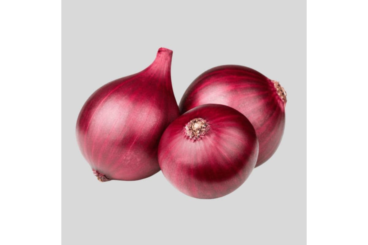 Red Onion (Packed)