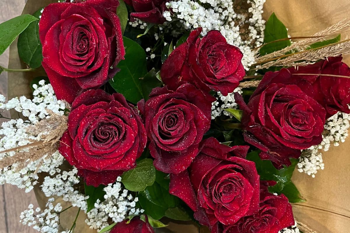 Roses