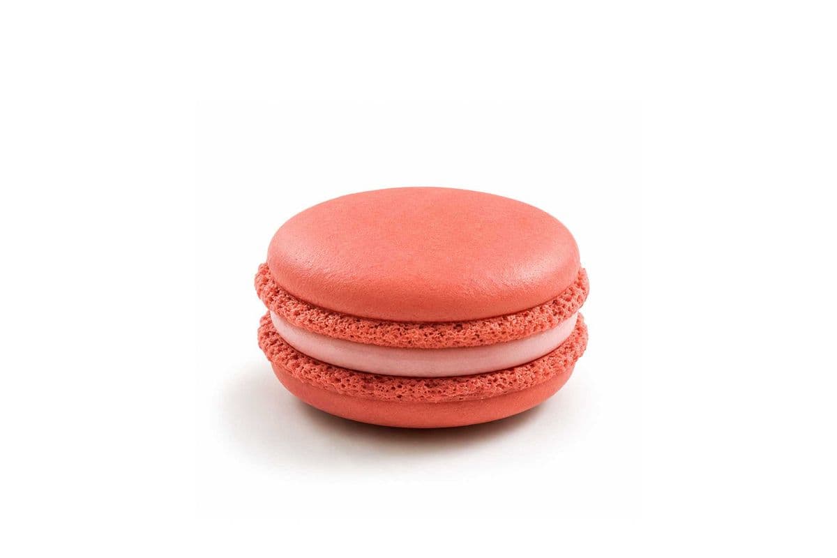 Strawberry Macaron