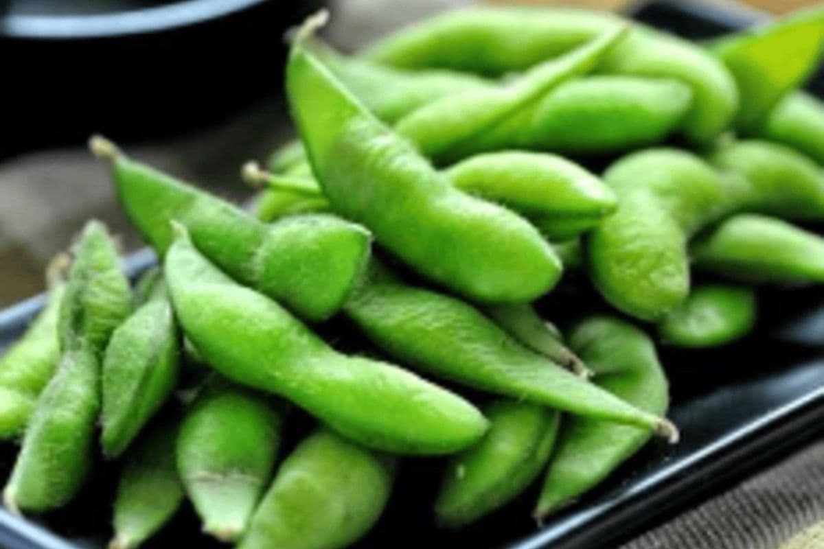 Edamame 毛豆