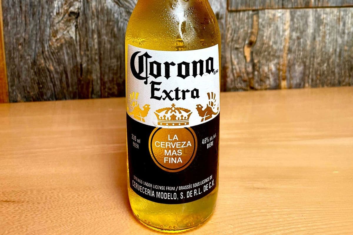 CORONA BEER BOTTLE