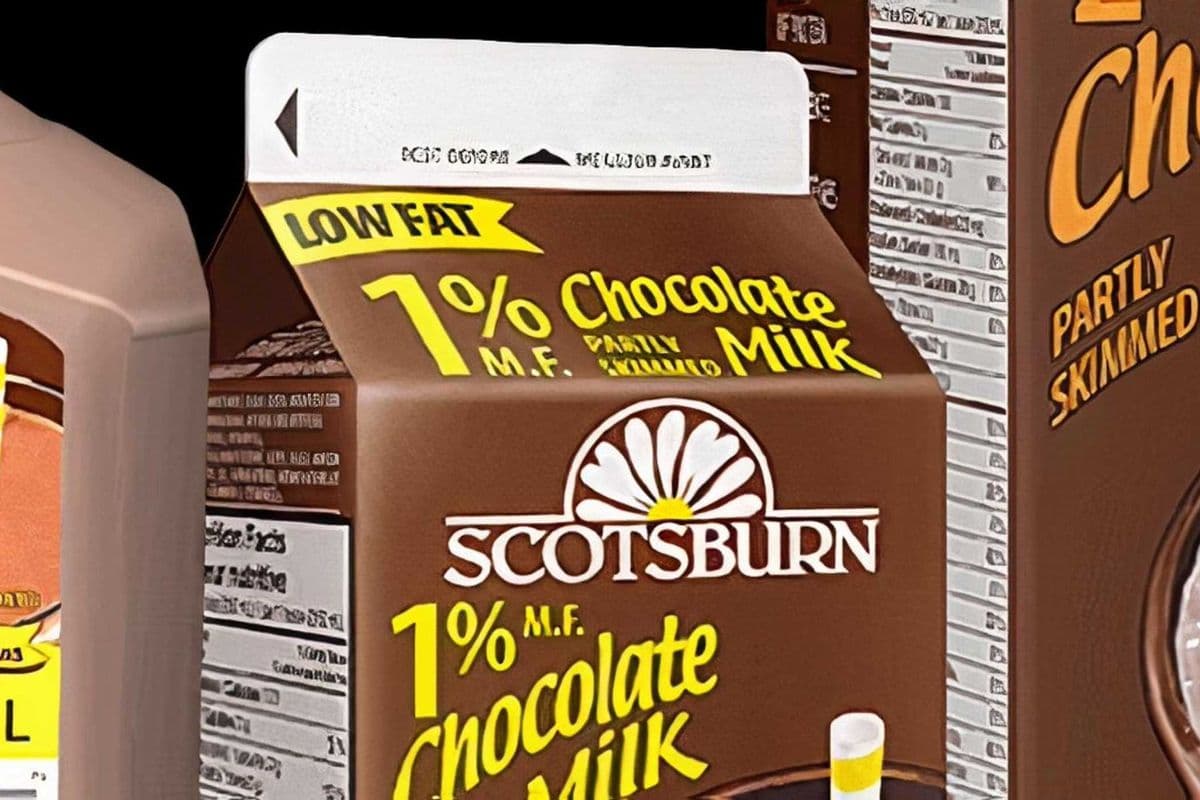 Chocolate Milk (473 ml)