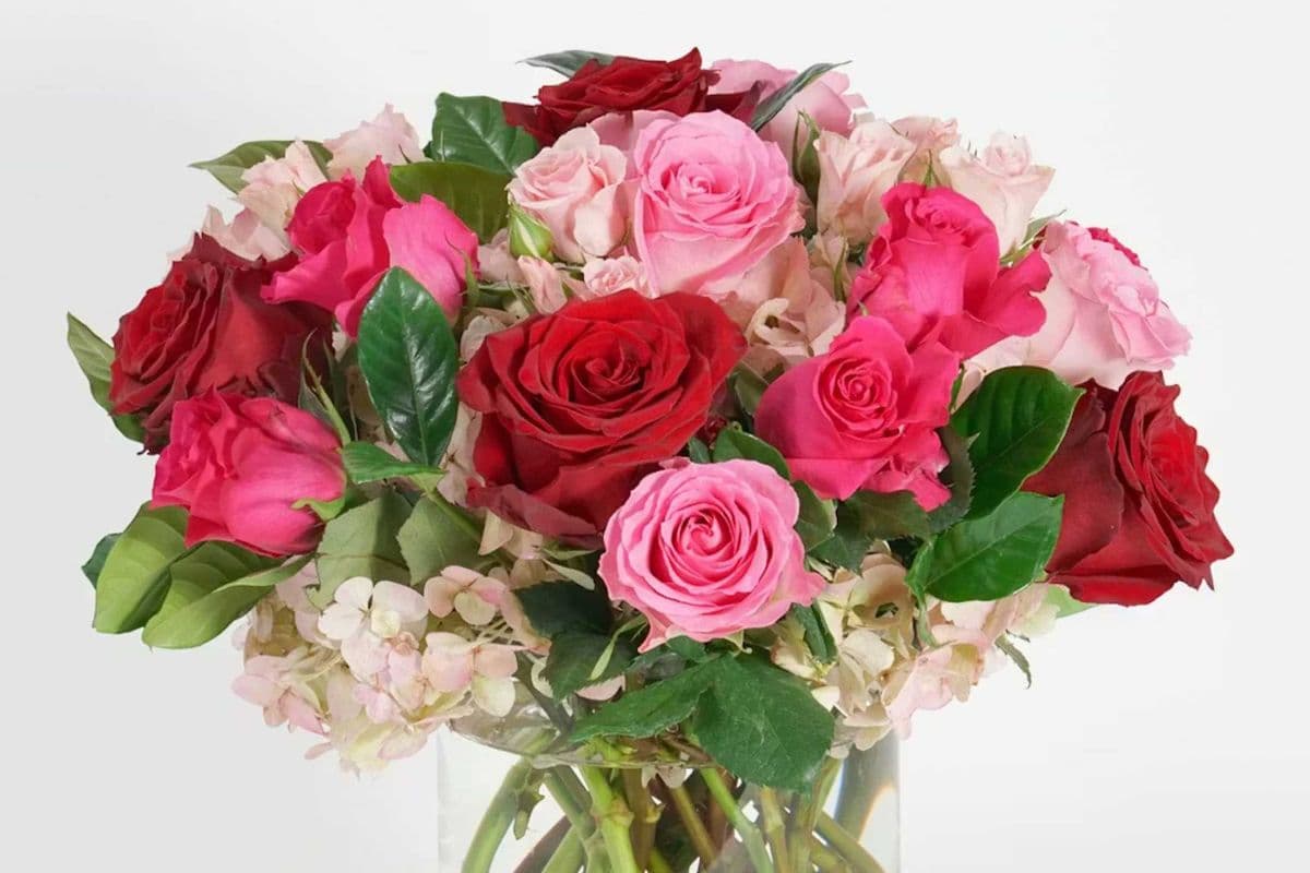 Romantic Rose Vase - 15 Roses