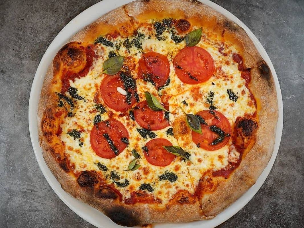 (XL) 16" MARGARITA