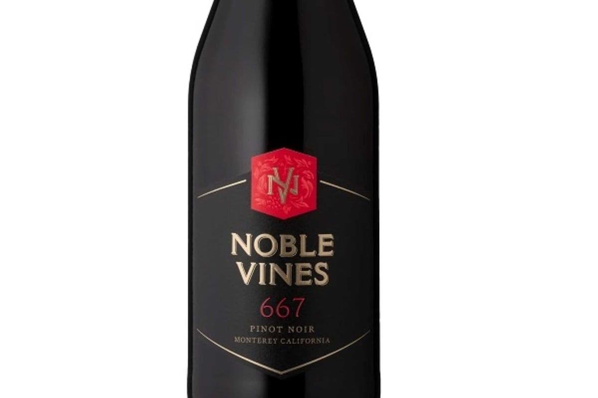 NOBLE VINES 667 PINOT NOIR (1 x 750ML)