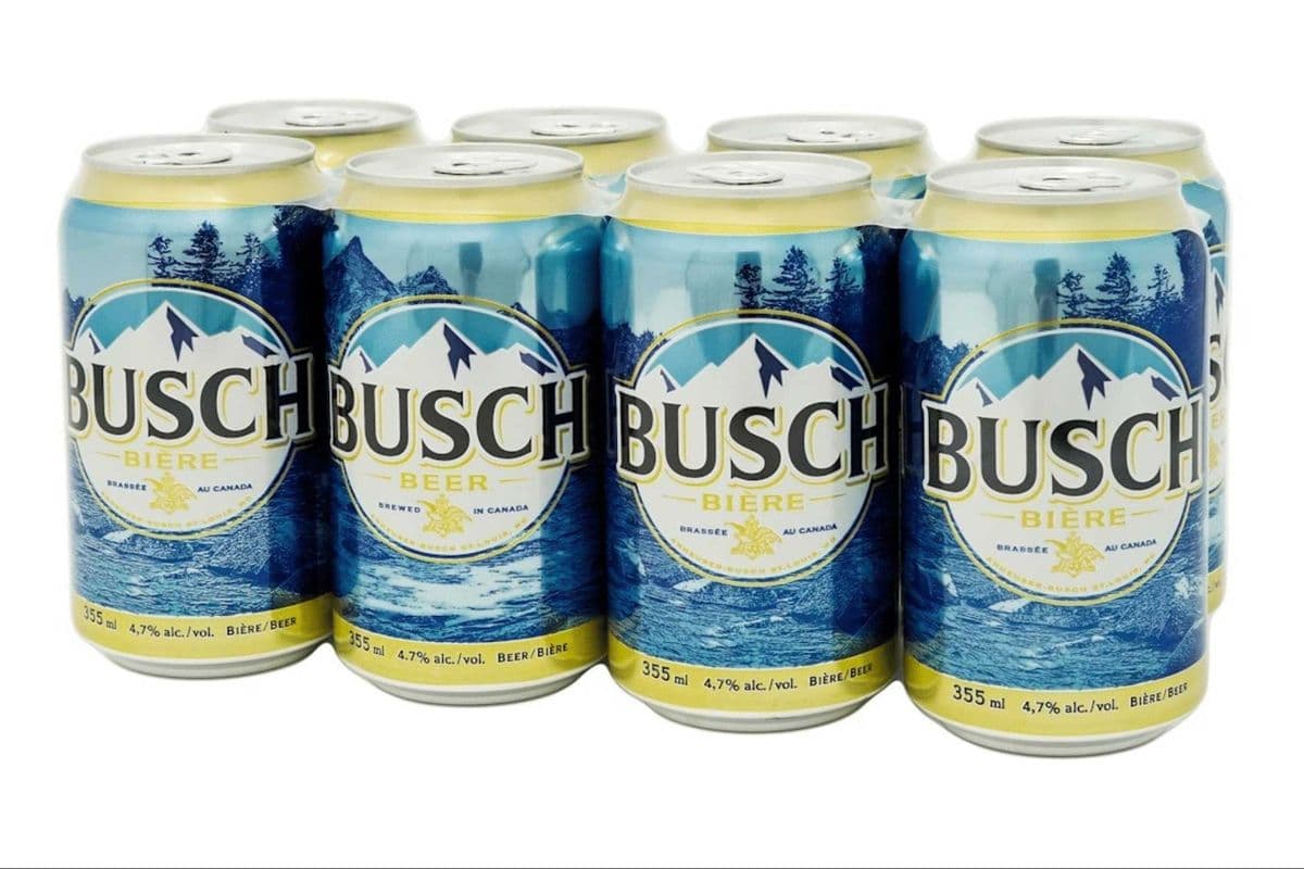 BUSCH LAGER (8 x 355ML) (8 x 355ML)