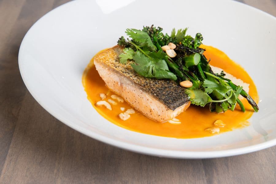 SALMON