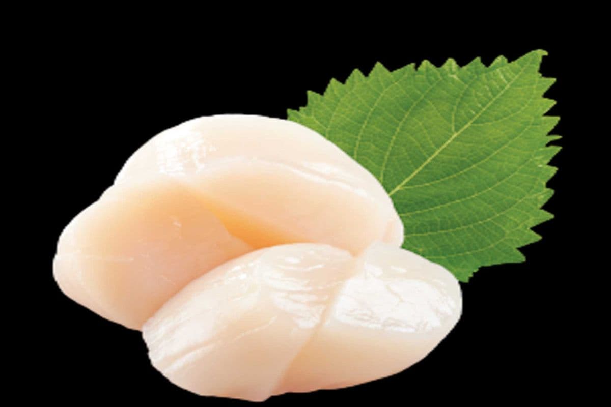 54. Hotate Sashimi (6 pcs)