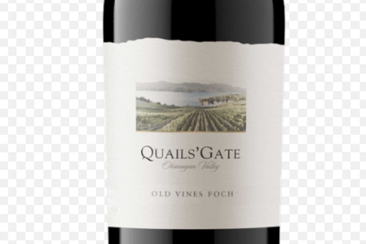 Quails Gate Old Vines Foch (1 x 750ml)