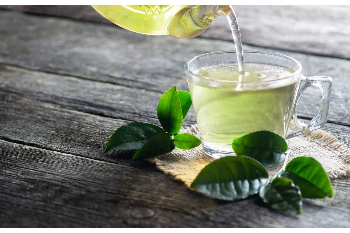 Green Tea (8oz)