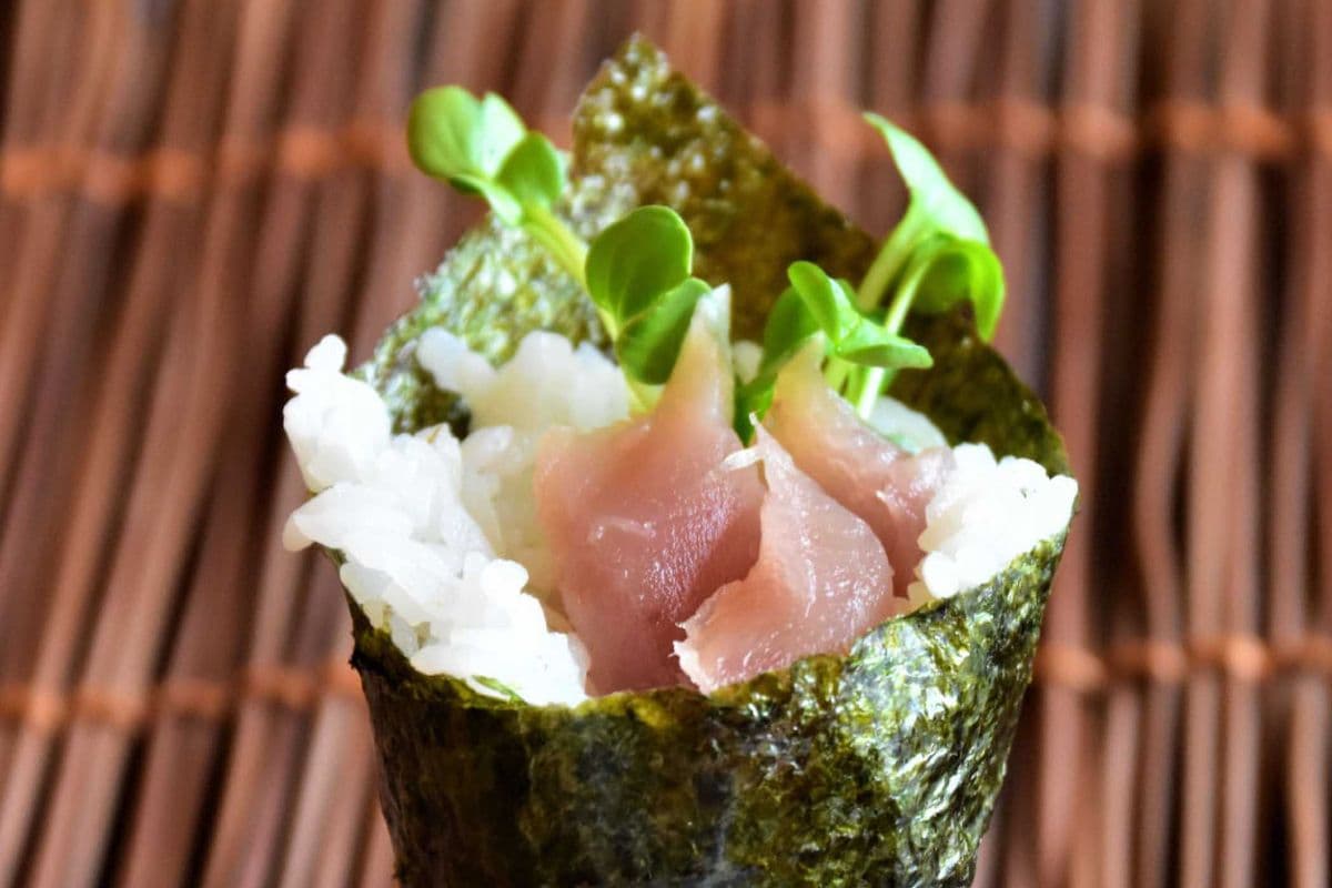 Tuna Cone