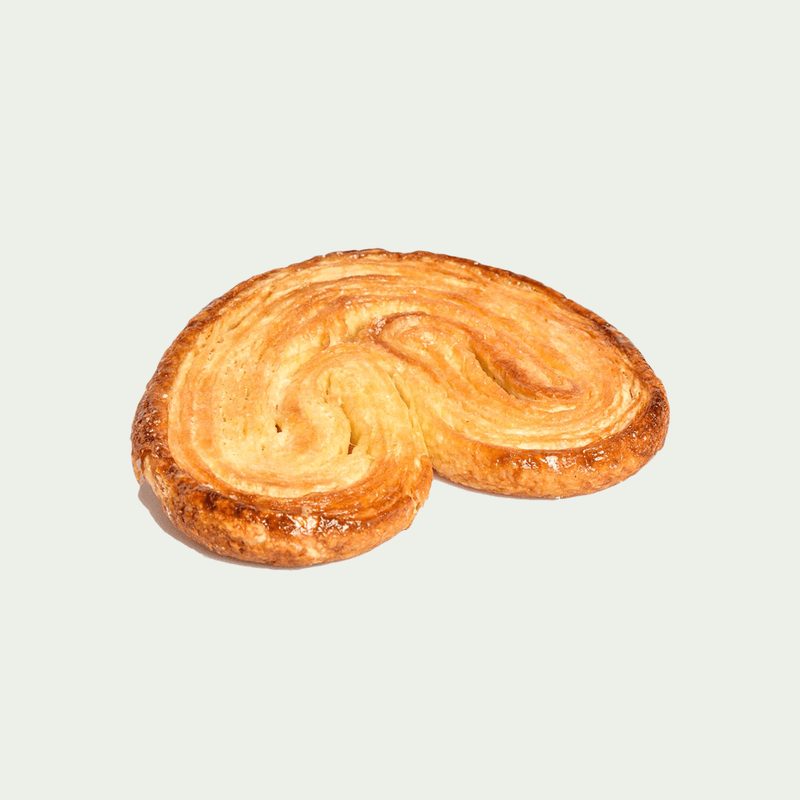 Palmier / Palm