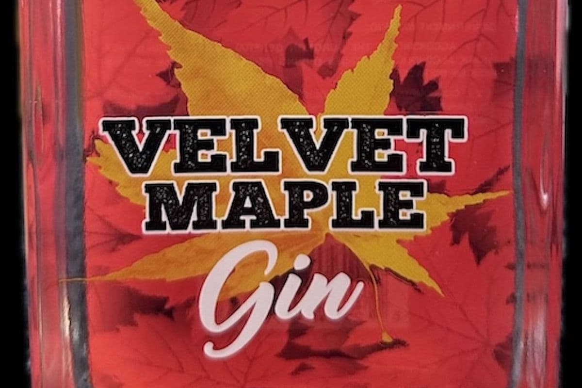 VELVET MAPLE GIN 42% 750ML (1 x 750ML)