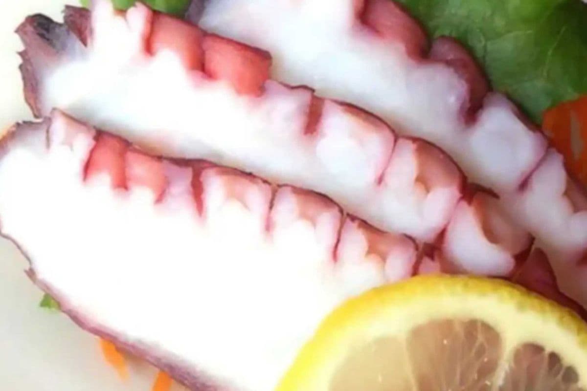 60. Tako Sashimi