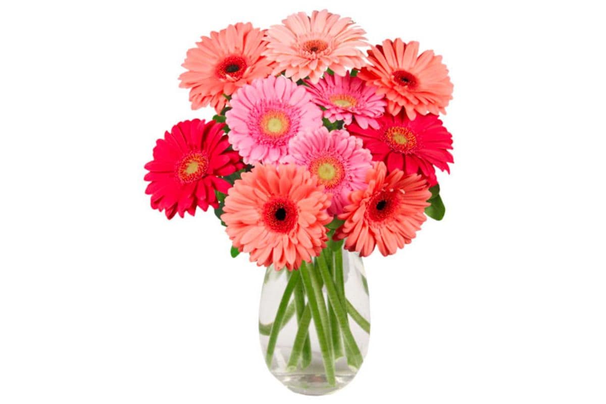 Dancing Daisies Arrangement