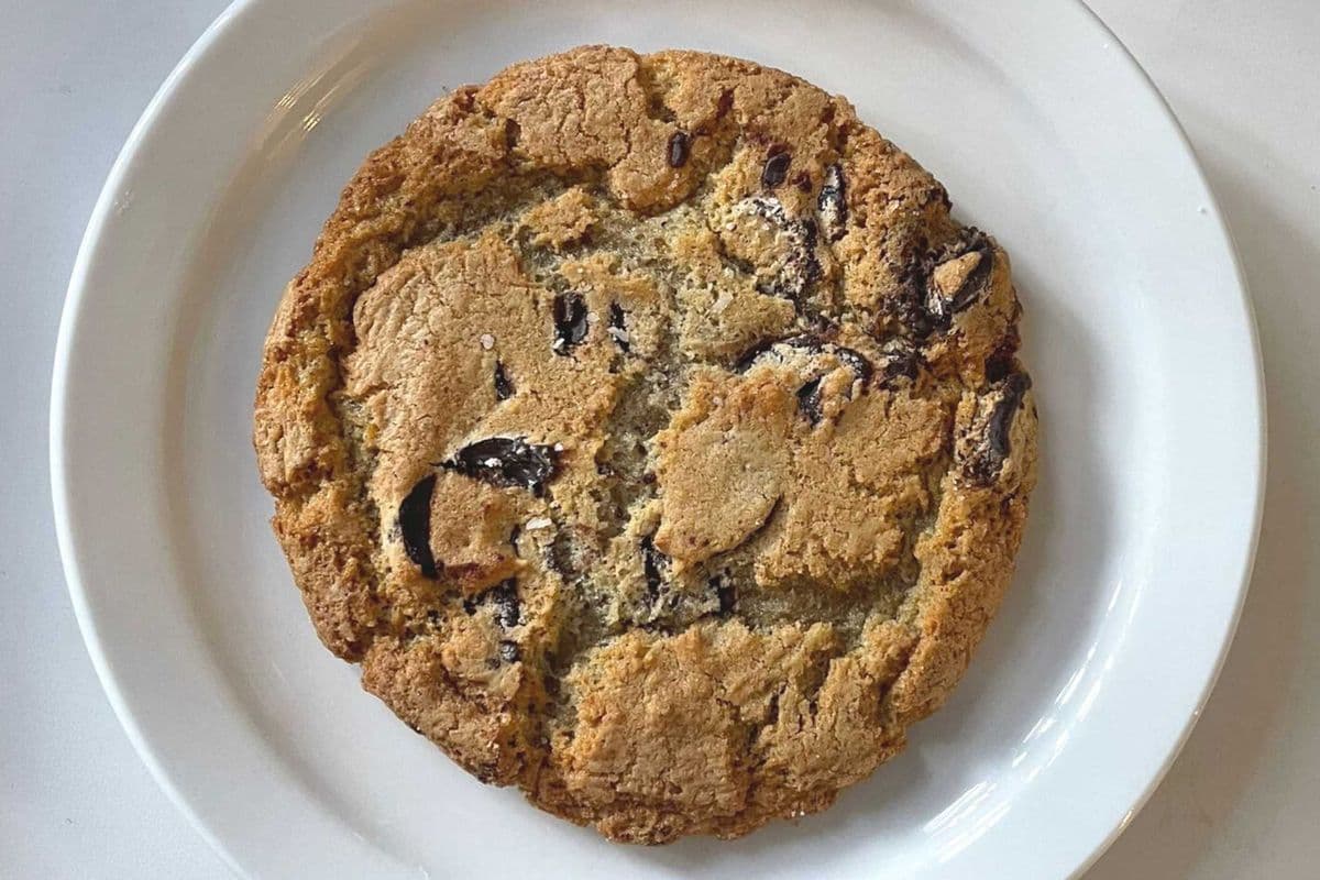 Chocolate Chip and Sea Salt Cookie