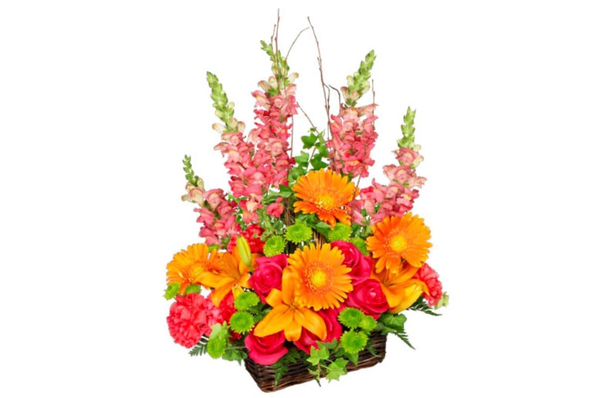 Brilliant Basket Arrangement