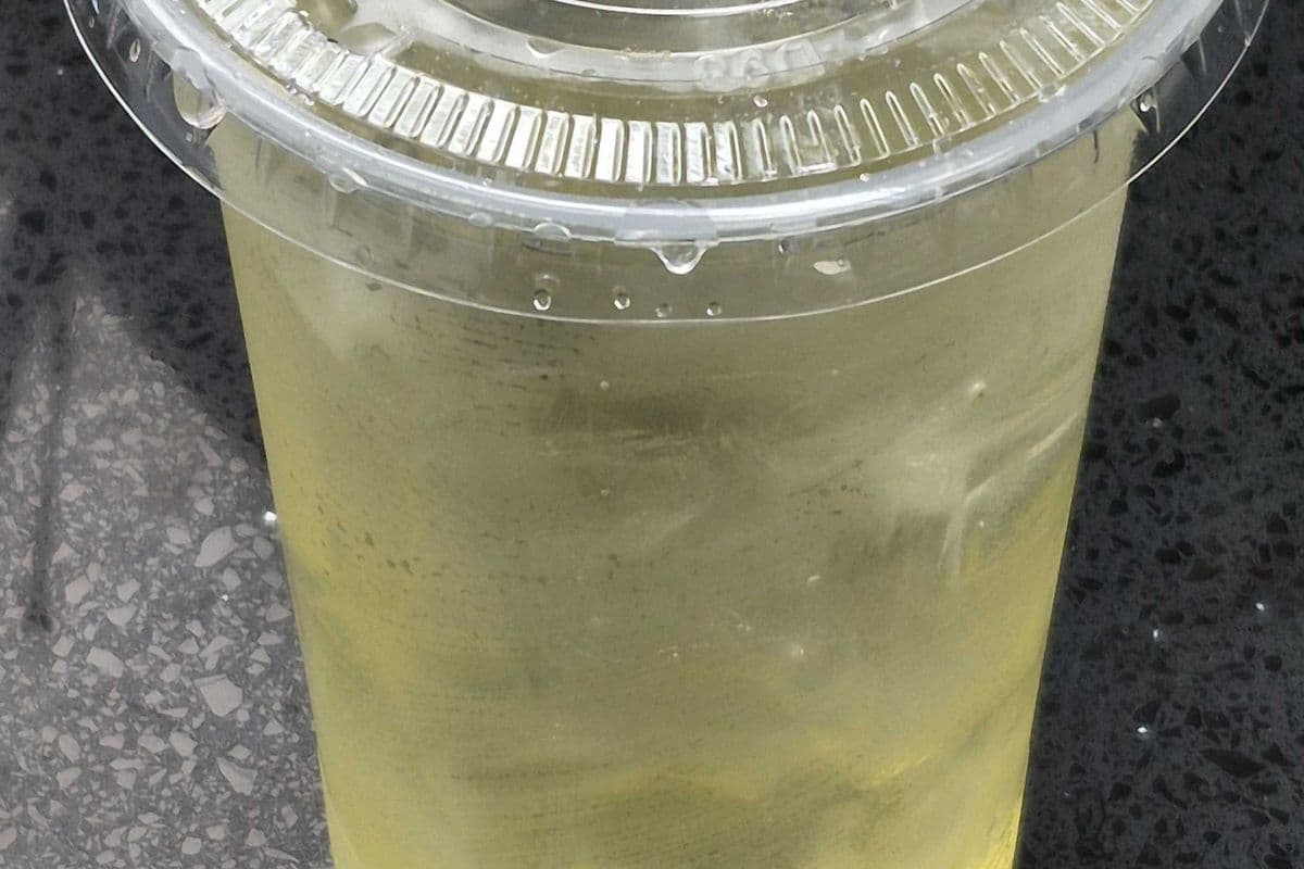 Mango Soda (Large)