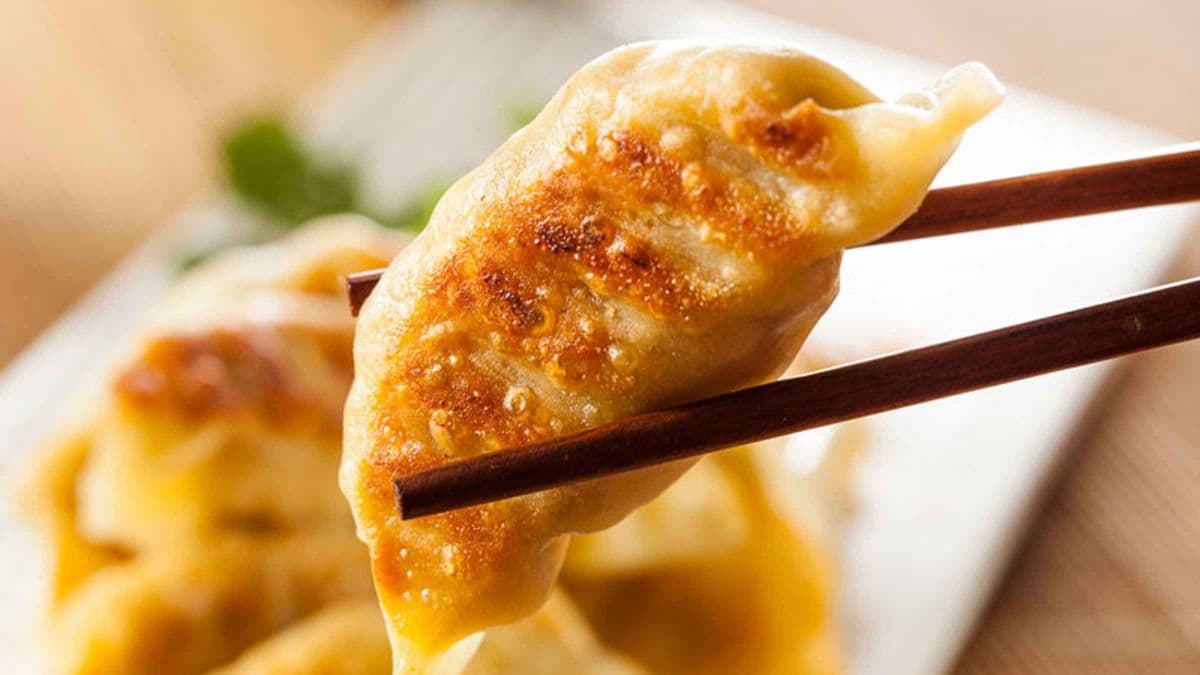 Gyoza Dumplings