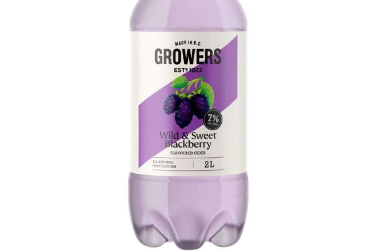 Growers Blackberry (1 x 2 LTR)