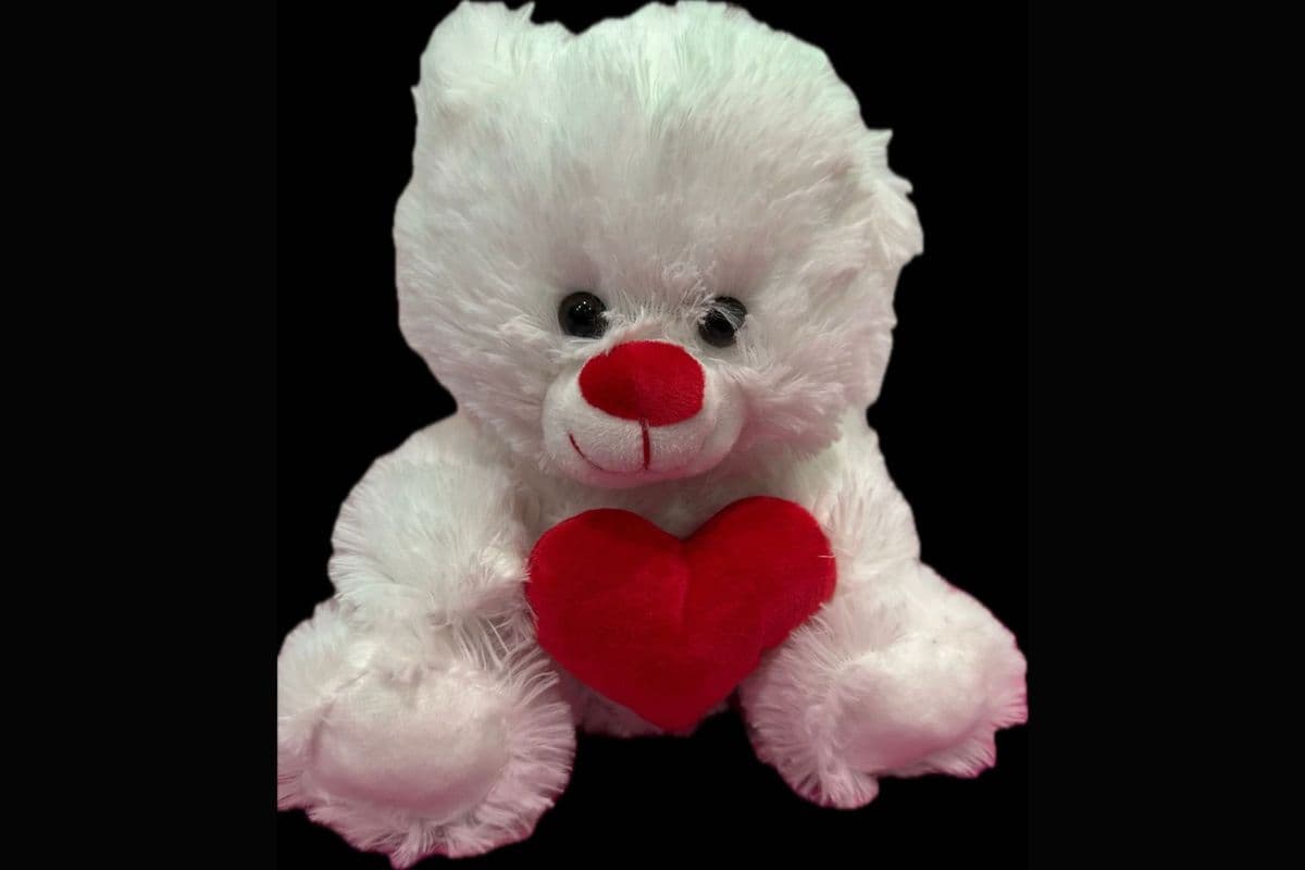 Veloura Heart Embrace Teddy