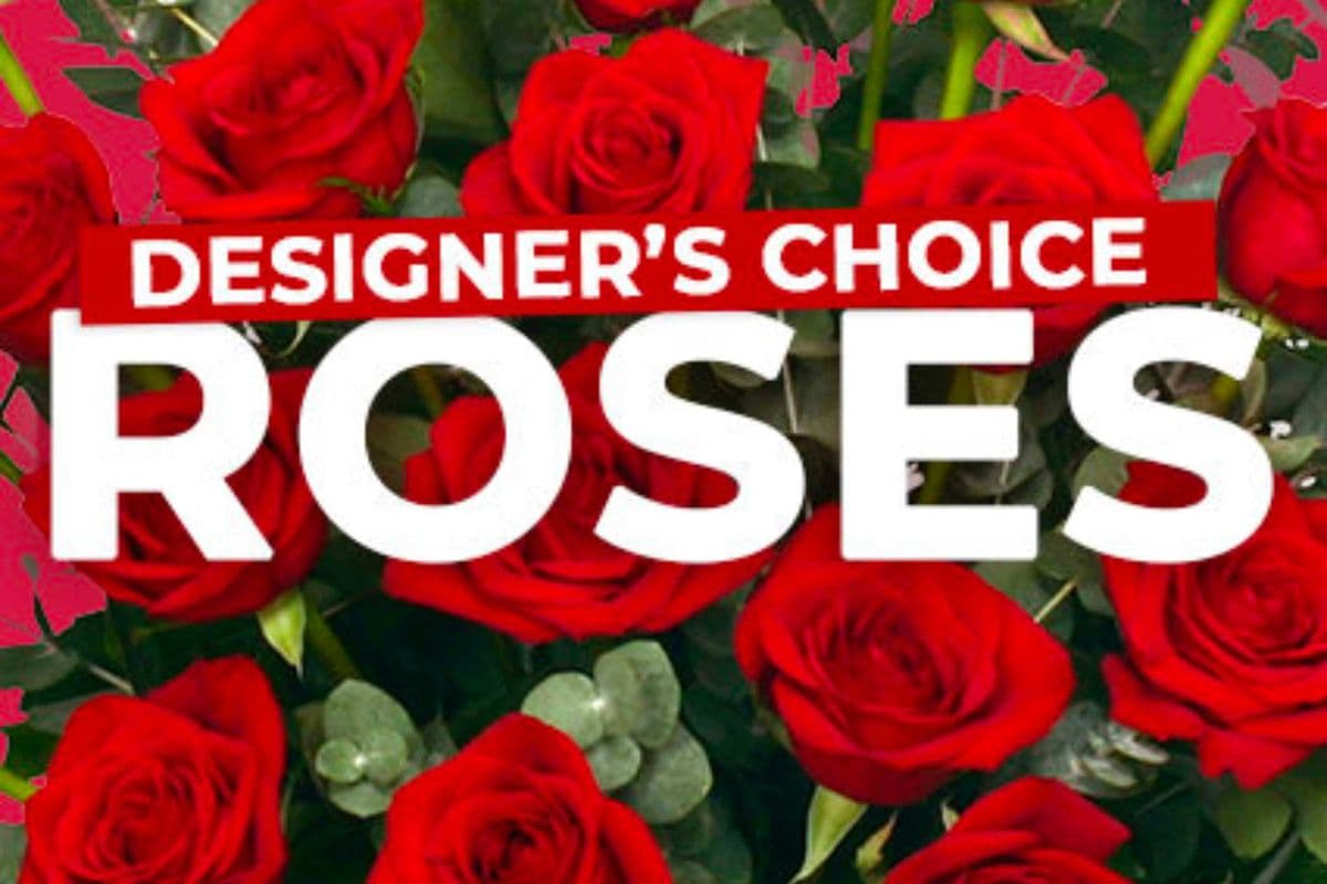 Rose Arrangement - Designers Choice