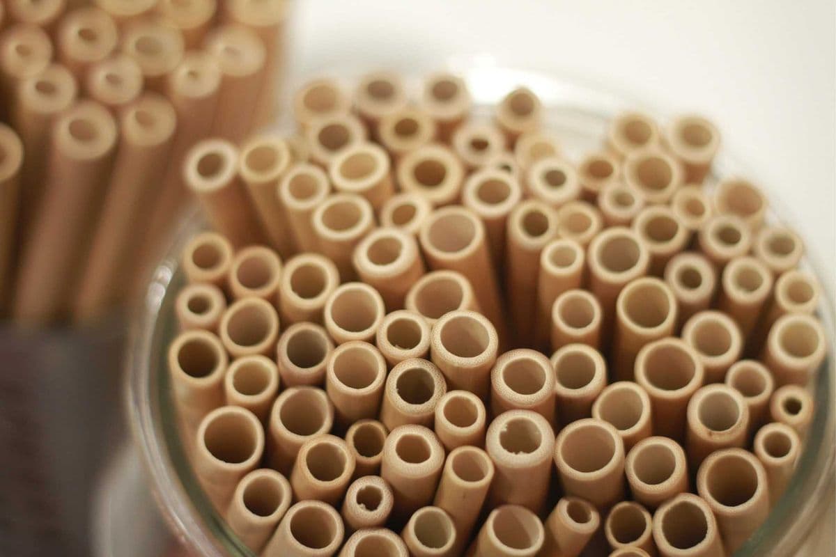 Bamboo Straw