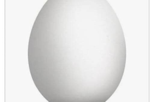 Egg