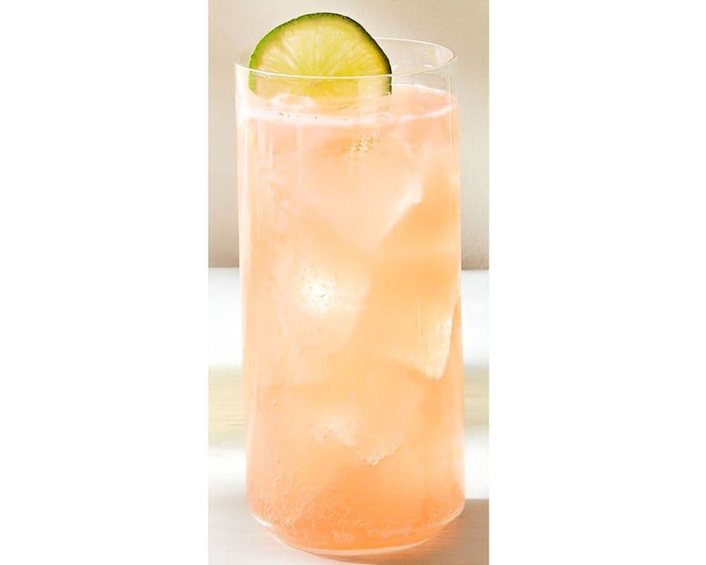 Blood OrangePaloma