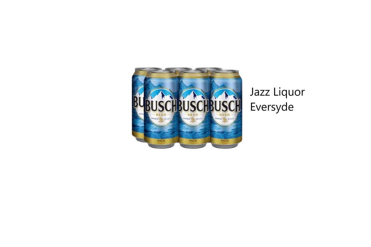 BUSCH CANS (1 x 355 ML)