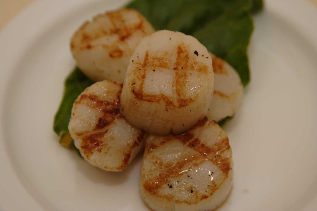 Grilled Scallop