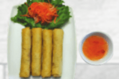 101. Spring Rolls (with Mixed Meats)