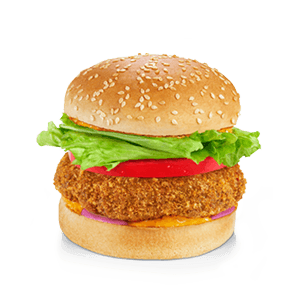 Masala Veggie Burger Combo