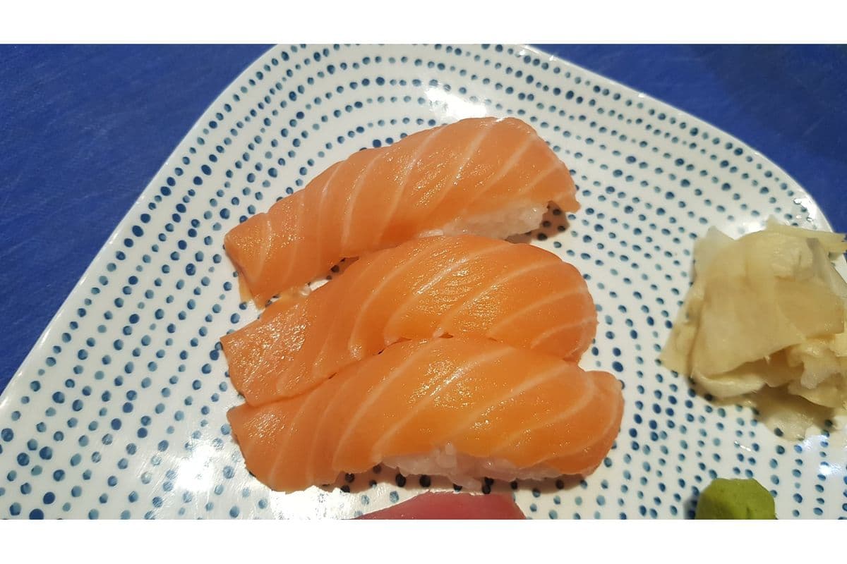 Salmon