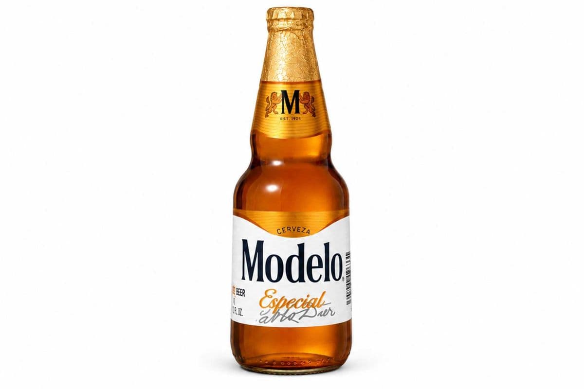 Modelo Especial (1 x 355ml Bottle)