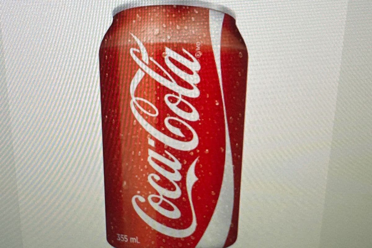 Coca-Cola Soft Drink (355 ml)