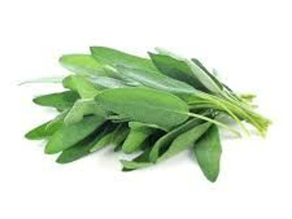 FRESH SAGE 1 OZ