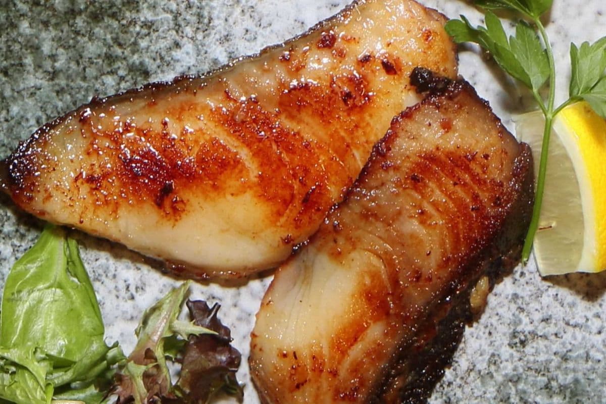 Black Cod Misoyaki