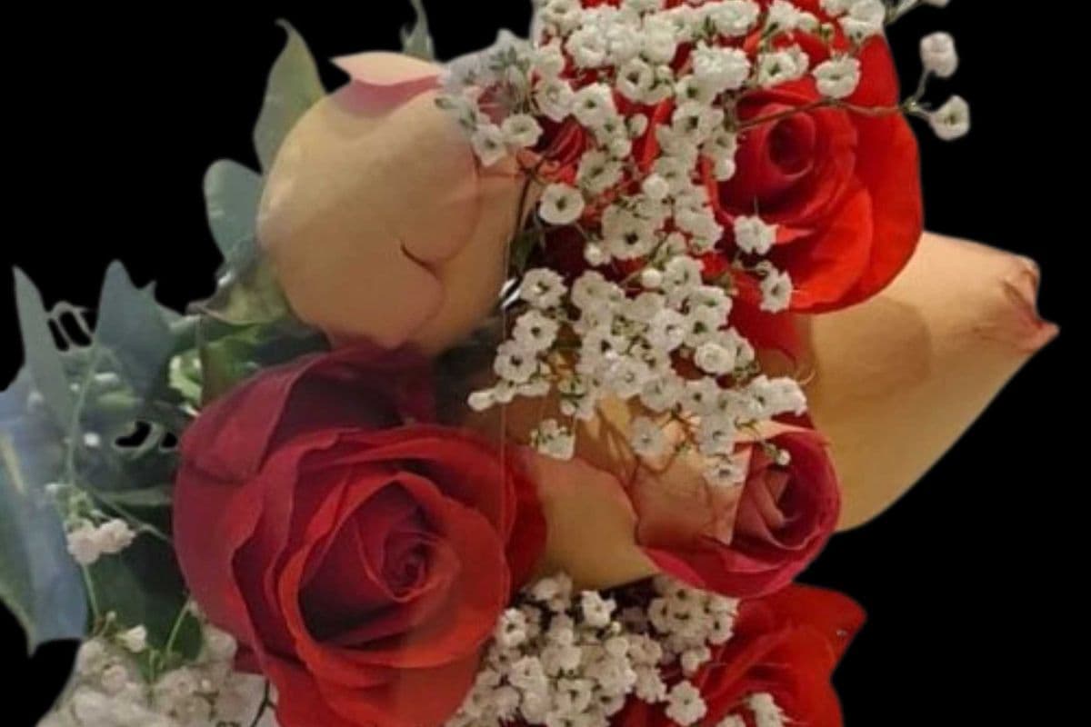 Sophia 6 Roses Bouquet (3 Red Roses & 3 Mixed Colours)