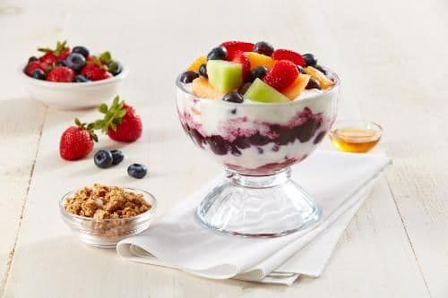 Large Yogurt with the Works