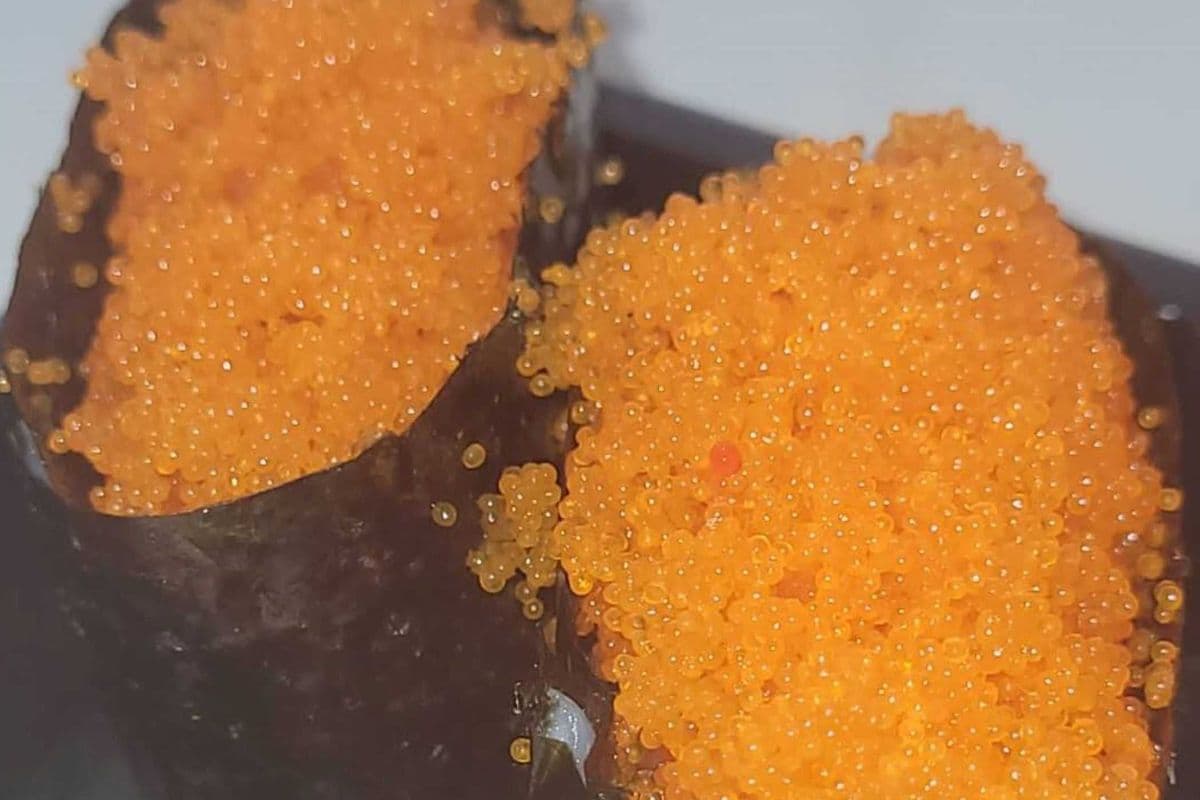 C12. Masago