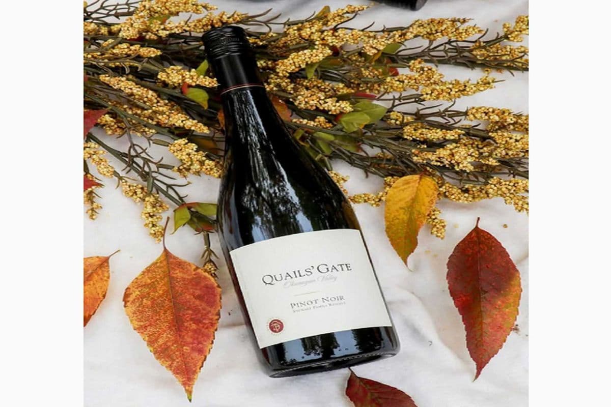 QUAILS GATE PINOT NOIR (1 x 750ML)
