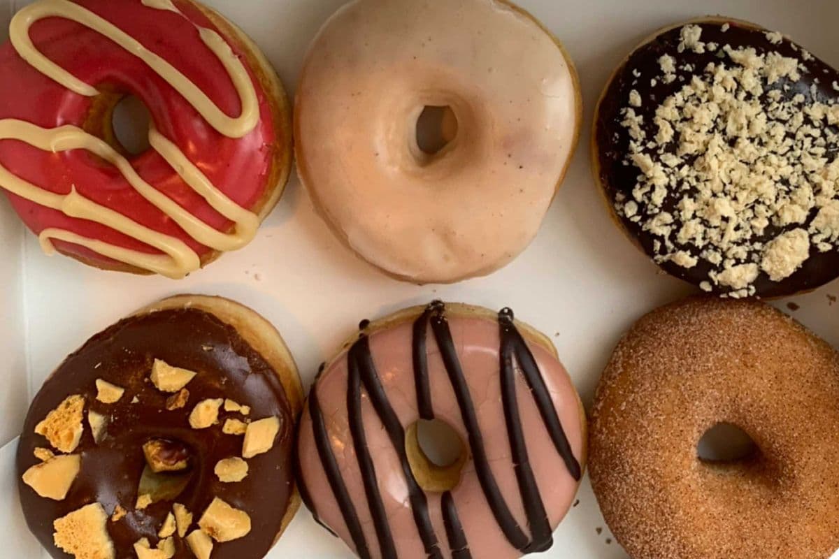 6 Regular Doughnuts