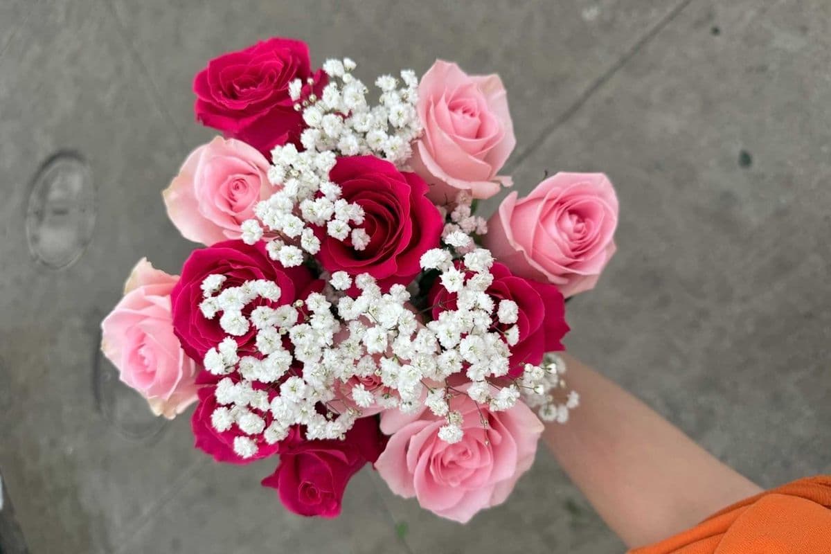 Mixed Pink Roses - 1 Dozen (12 Stems)