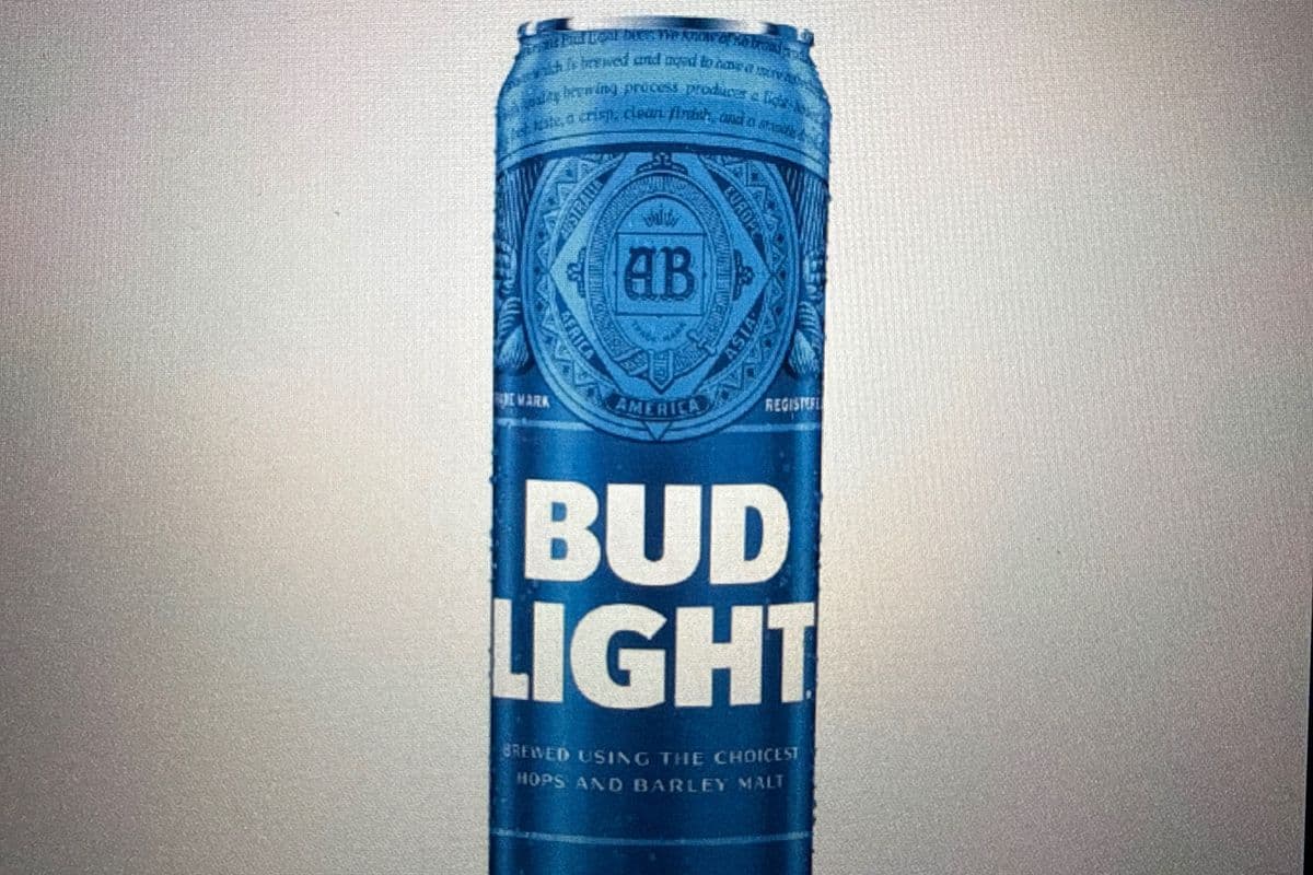 Budlight 740ML Can (1 x 740 ml Can)