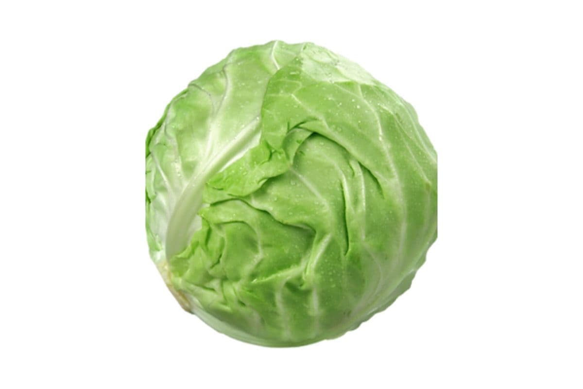 Green Cabbage (1)